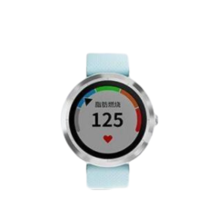二手佳明  Vivoactive 3T回收